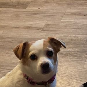 Meet your Posher, Kenneth